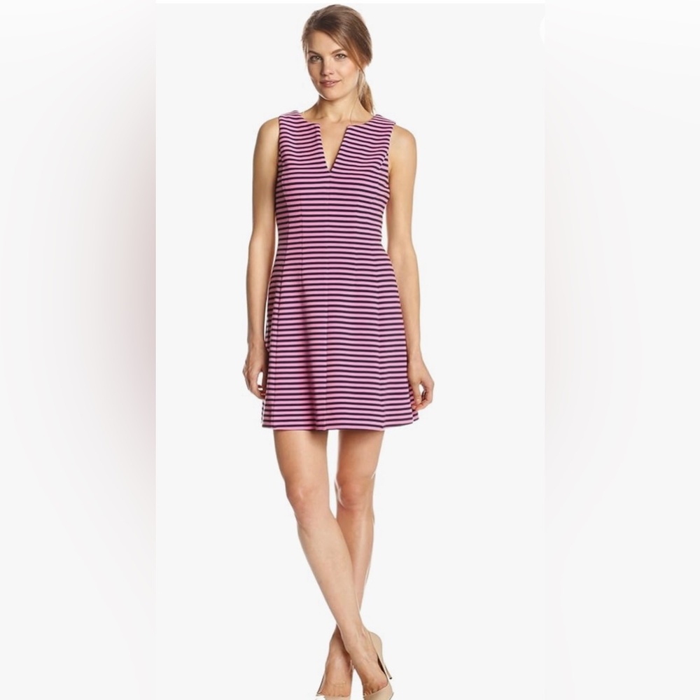 Lilly Pulitzer Brielle Hotta pink and navy fit and flair strip dress